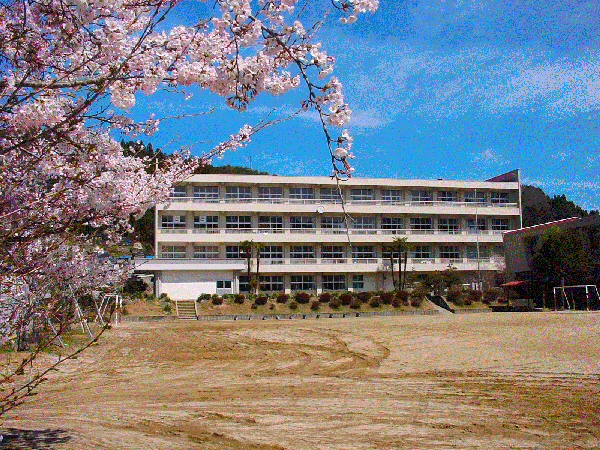 学校全景