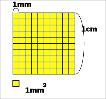 C とm との単位変換